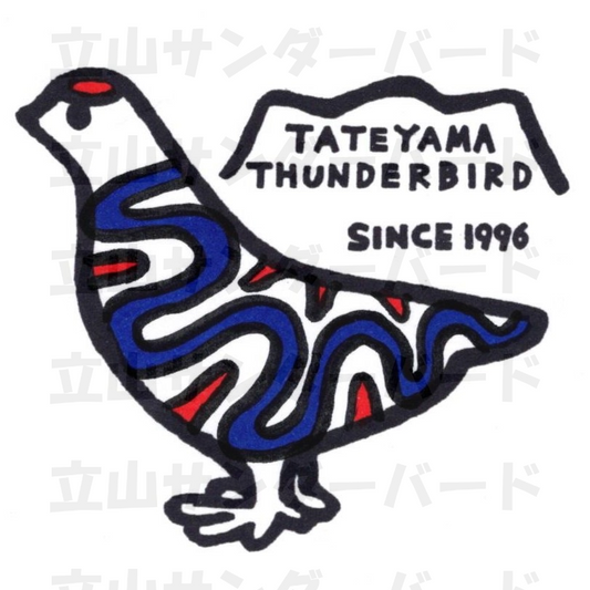 雷鳥くん  シュプール青赤