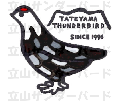 カモフラージュ雷鳥くん チャコール