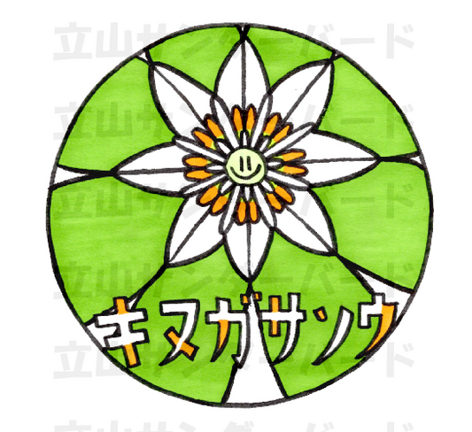 キヌガサソウ