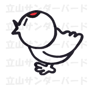 Can Badge (Robo Raicho)