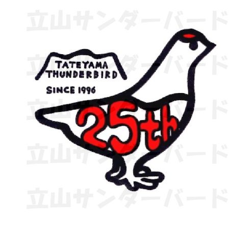 25th限定デザイン  N (雑貨小物)