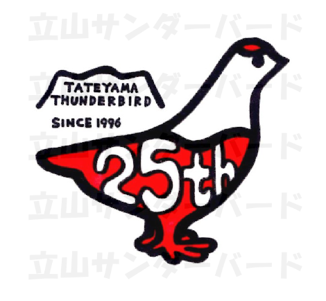 25th限定デザイン  M (雑貨小物)