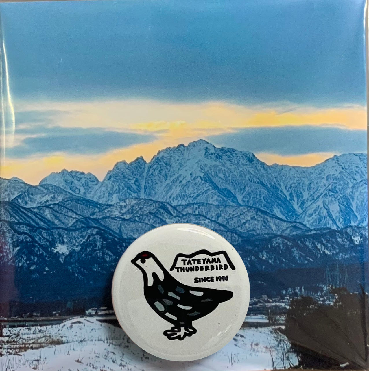 Can Badge (Robo Raicho)