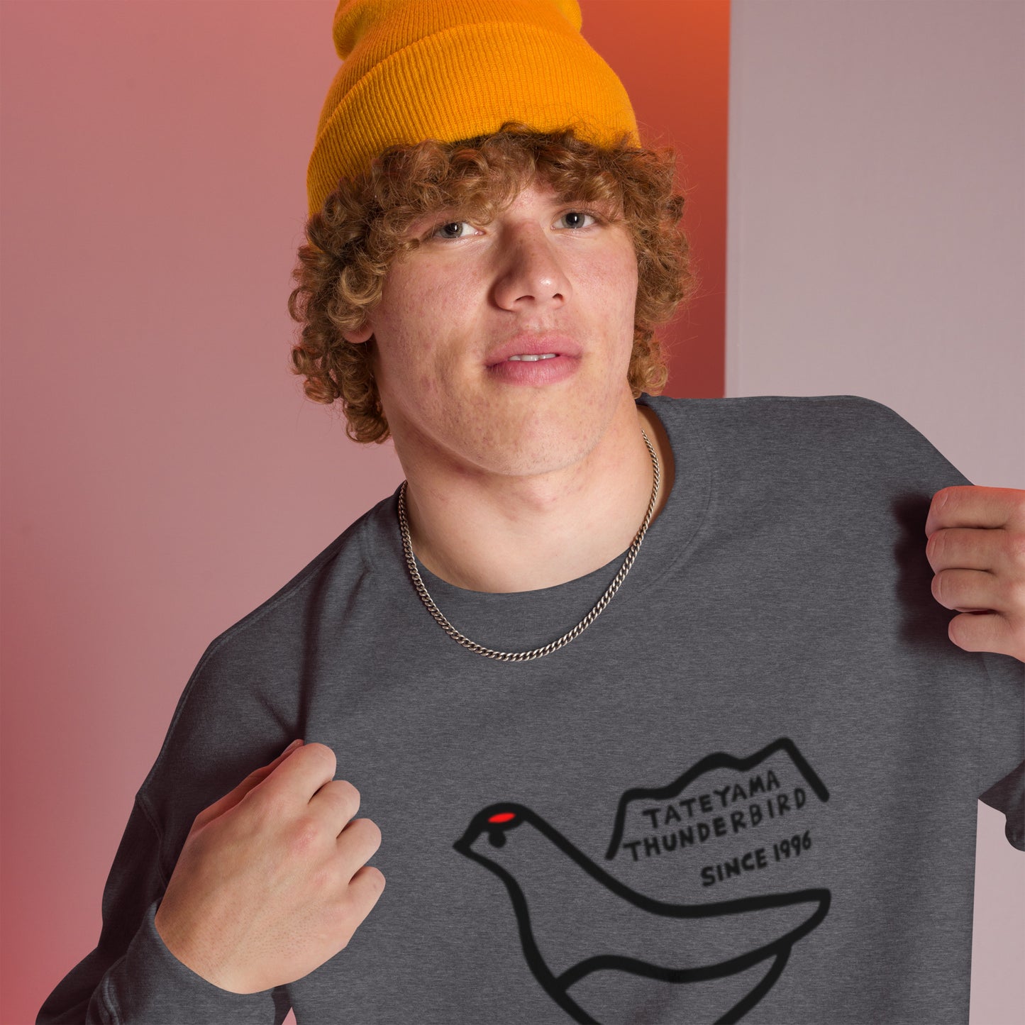 Sweatshirt (large Raicho-kun on the front & small logo on the back)
