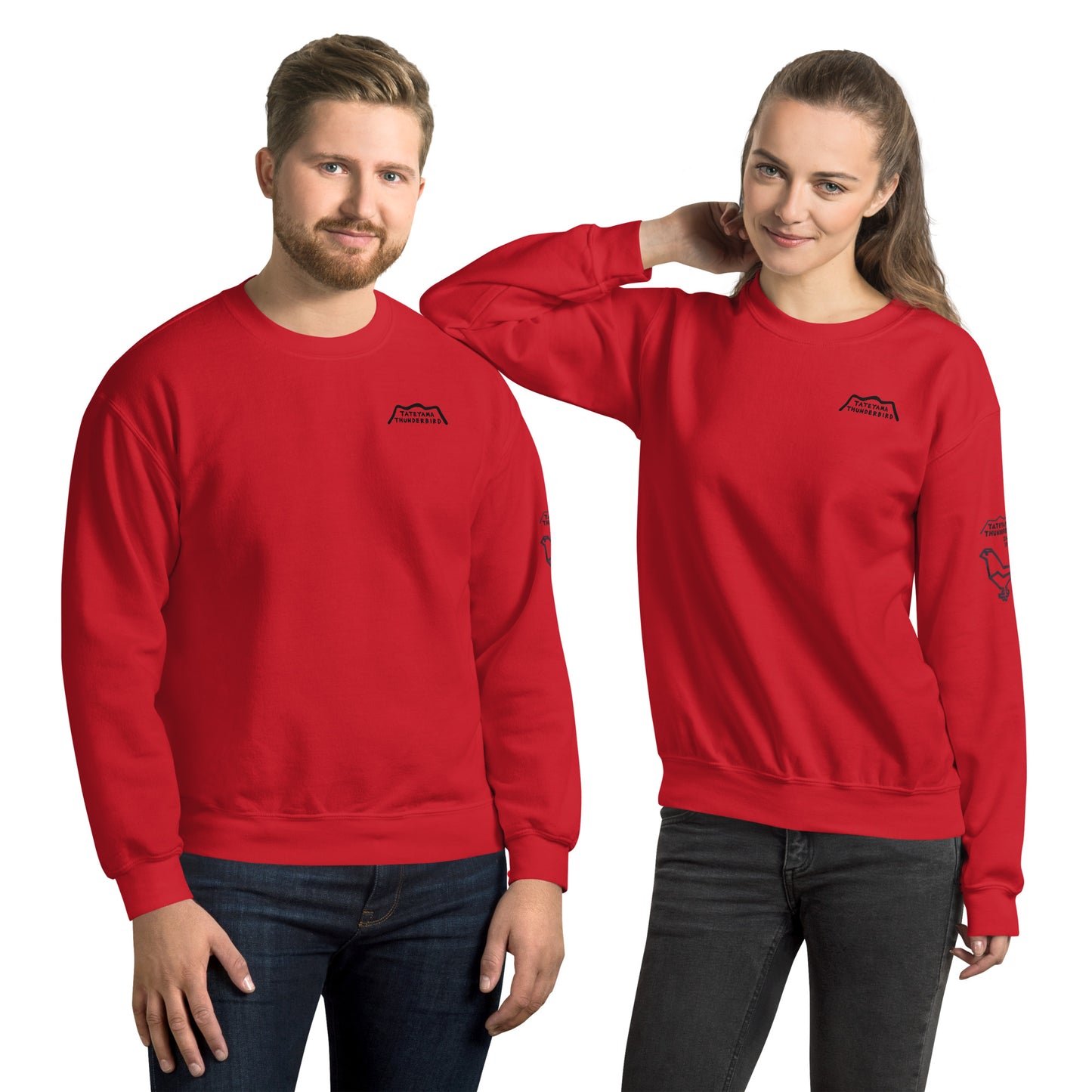Sweatshirt (Logo on the front & Robot Raicho on the left sleeve)