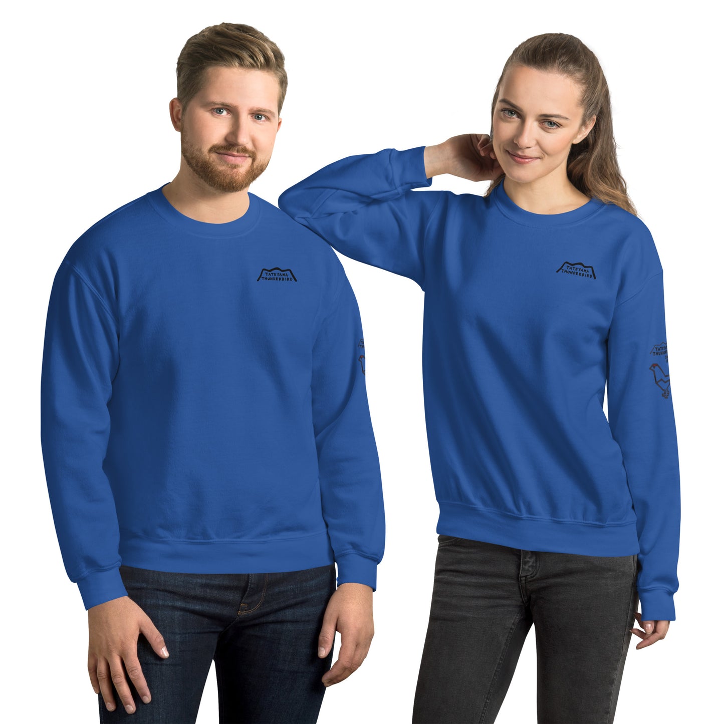 Sweatshirt (Logo on the front & Robot Raicho on the left sleeve)