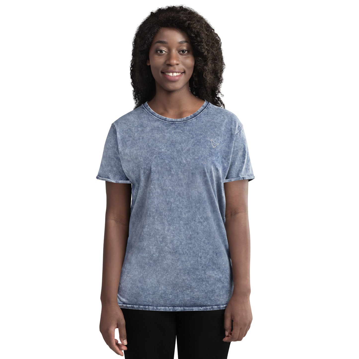 Denim T-shirt (Raicho-kun)