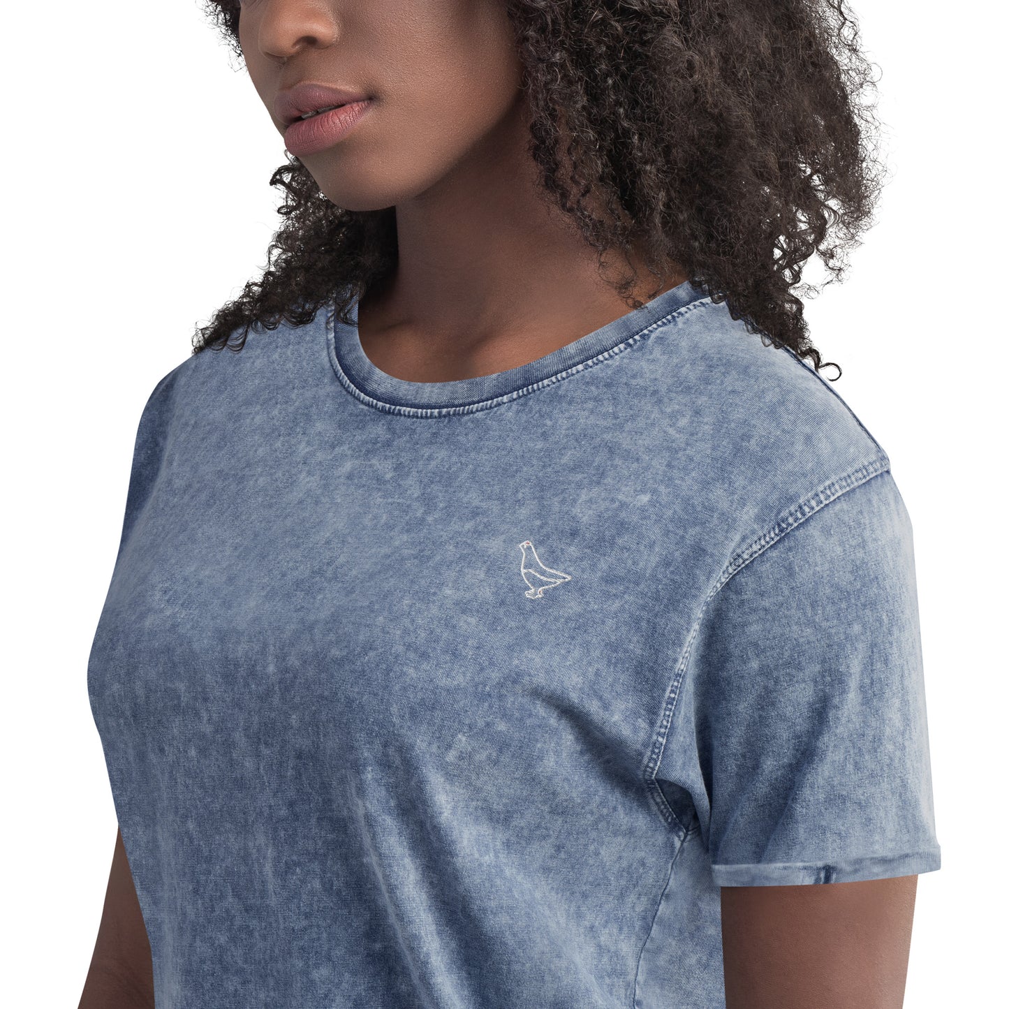 Denim T-shirt (Raicho-kun)
