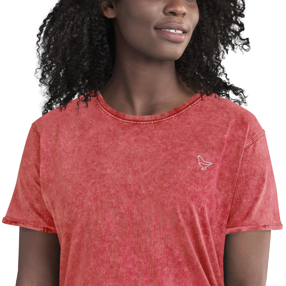Denim T-shirt (Raicho-kun)