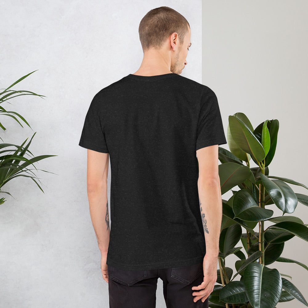 T-shirt (Tateyama Raicho)