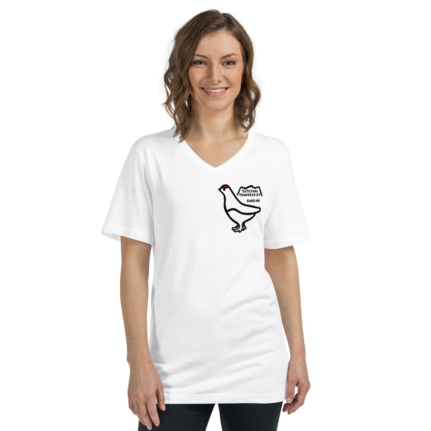 V-neck short-sleeved T-shirt (Raicho-kun)