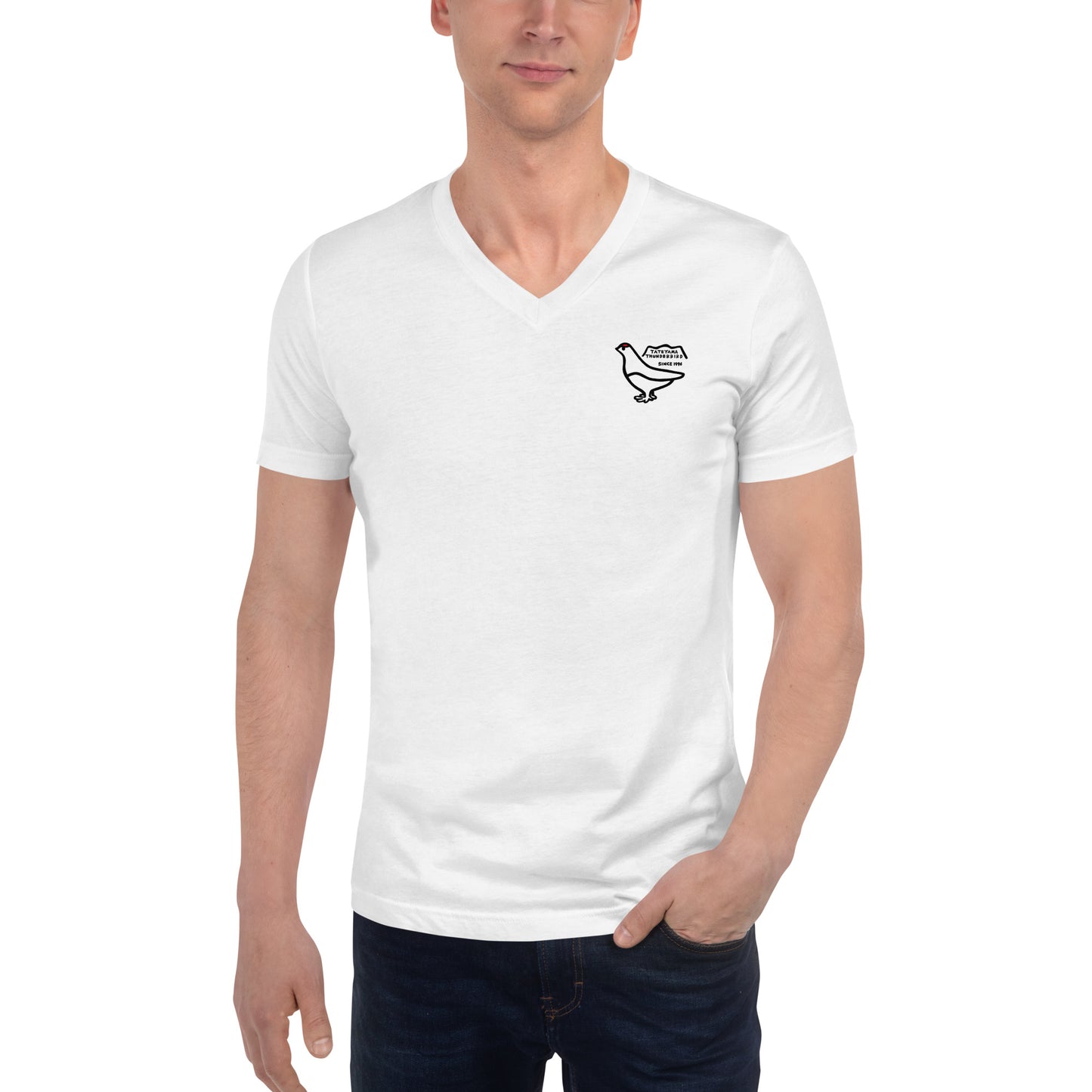 Short sleeve V-neck T-shirt (Raicho-kun)