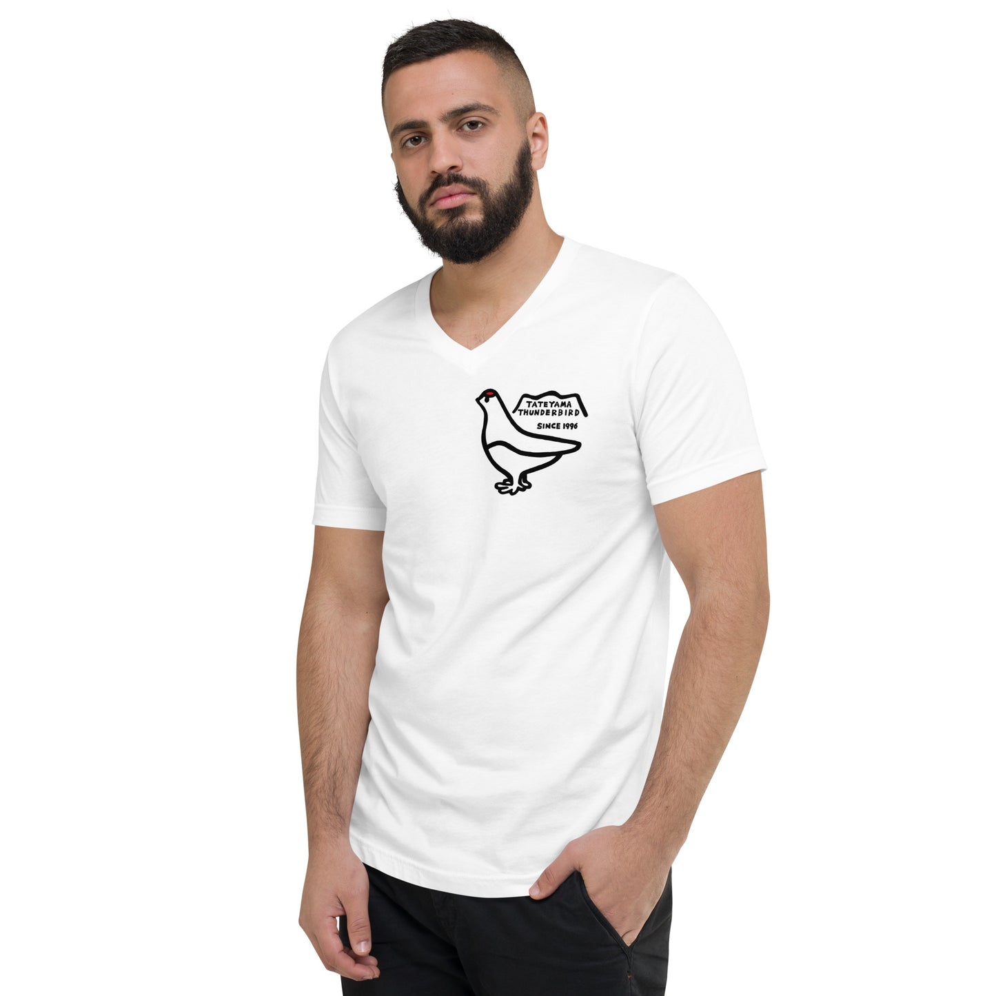 V-neck short-sleeved T-shirt (Raicho-kun)