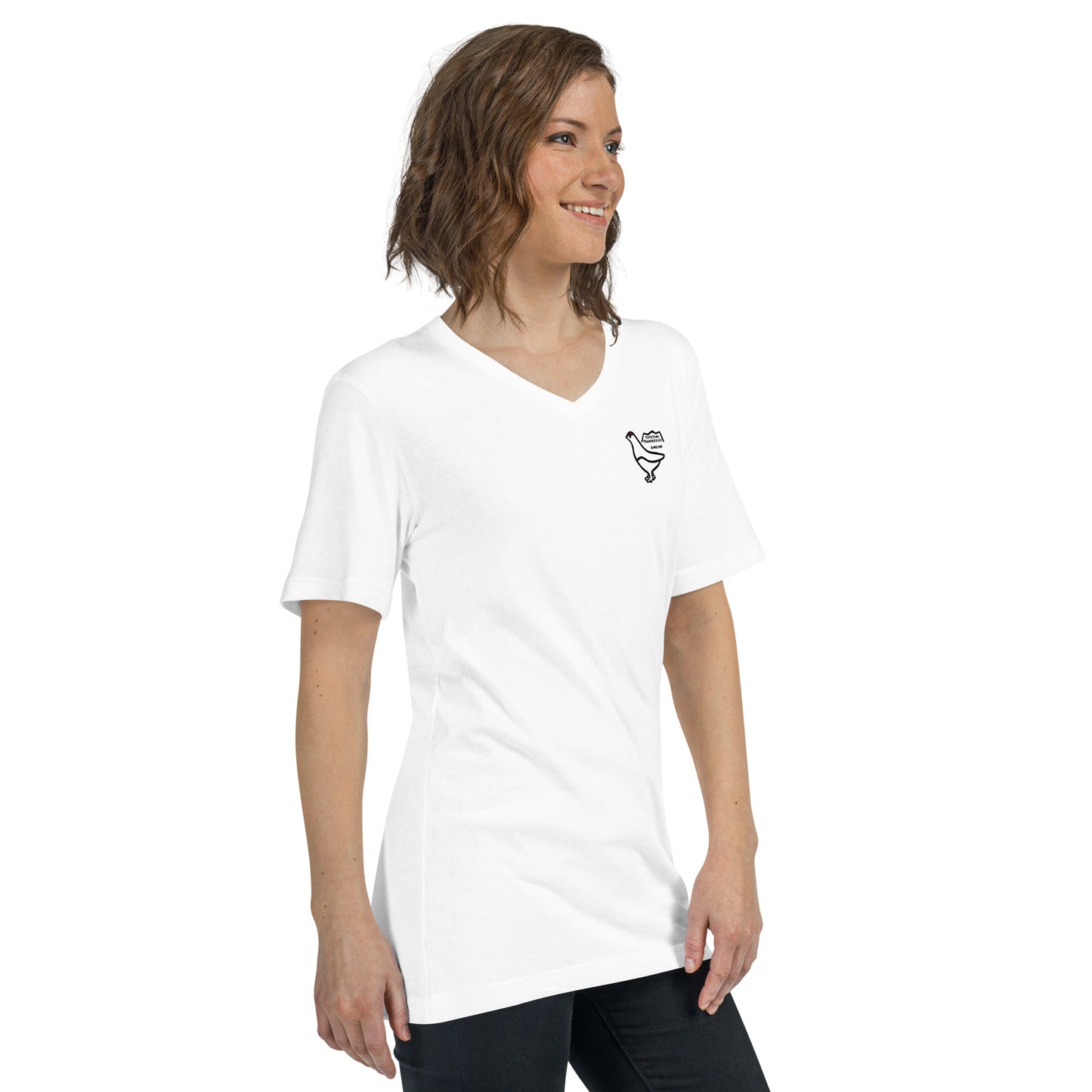 Short sleeve V-neck T-shirt (Raicho-kun)